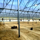 Cimentaciones y Cementaciones